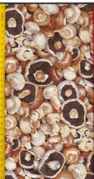 Champignon, 45 x 110 cm