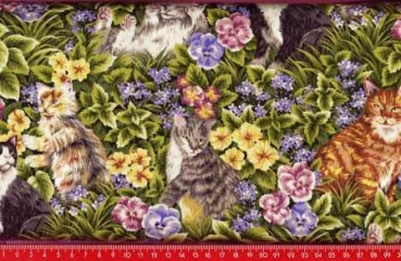 Katzen im Blumengarten